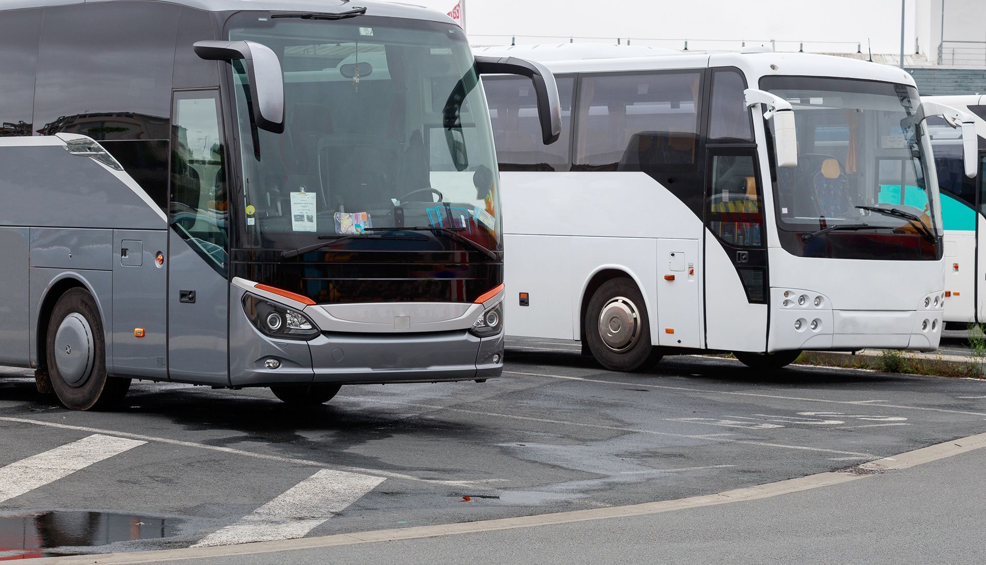 Buses parked in a lot; gray and white exterior; visible windshields and tires.
