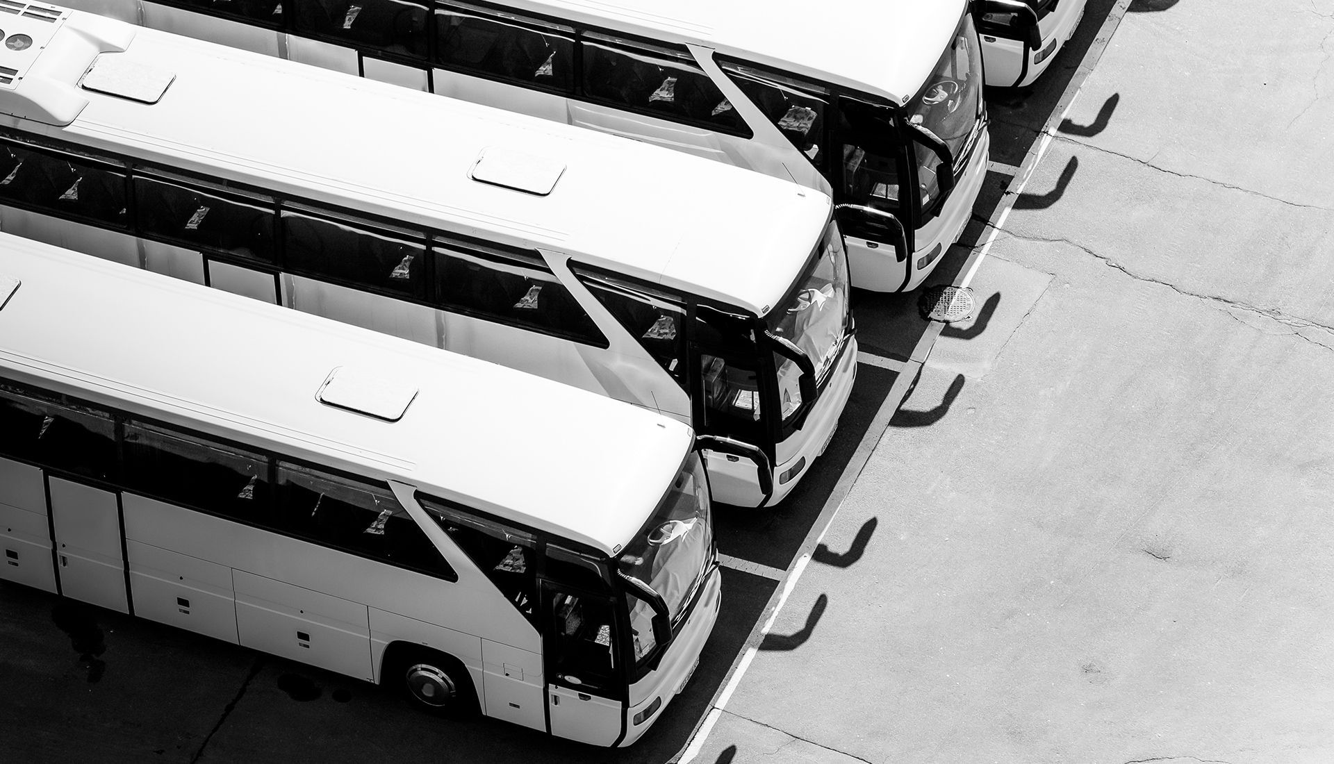 Row of white buses parked on a paved lot, casting shadows.