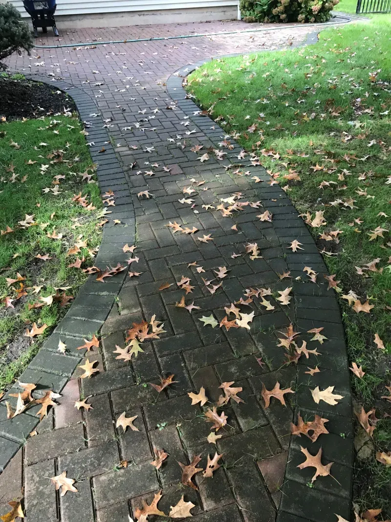 Brick walkway with scattered brown leaves, bordered by green grass.