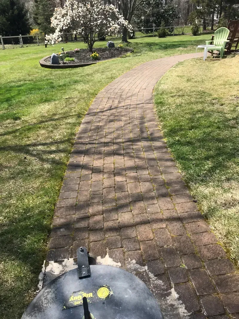 Brick path winding through a grassy yard toward a flowering tree.