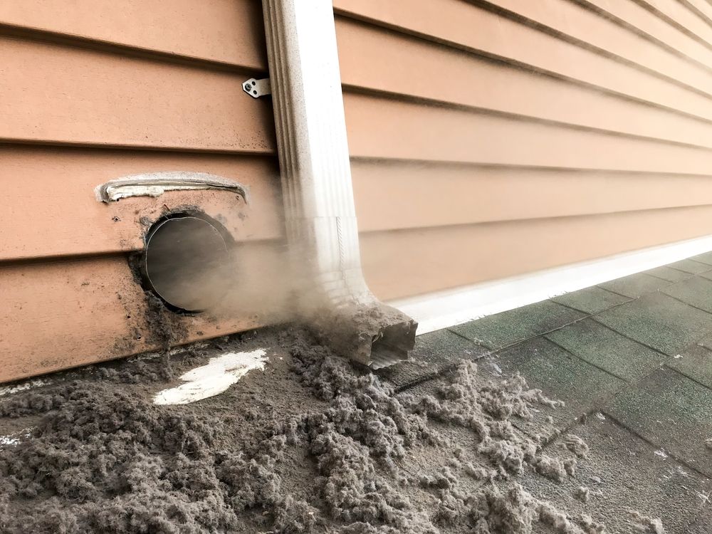 Exterior dryer vent with visible lint and debris, next to a downspout and siding.