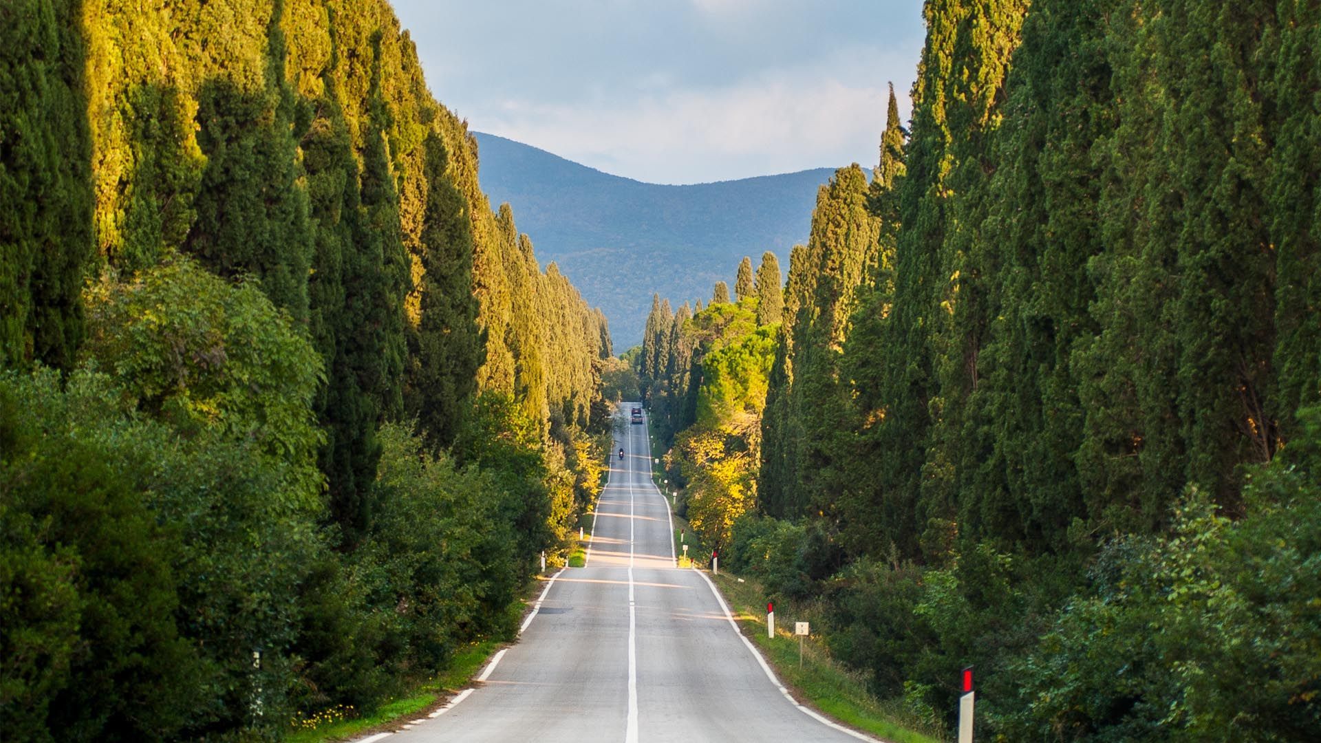 Bolgheri - Super Tuscany Life
