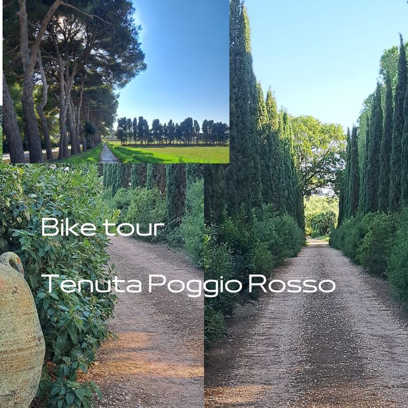 Bike e degustazione Tenuta Poggiorosso