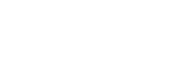 kpn logo