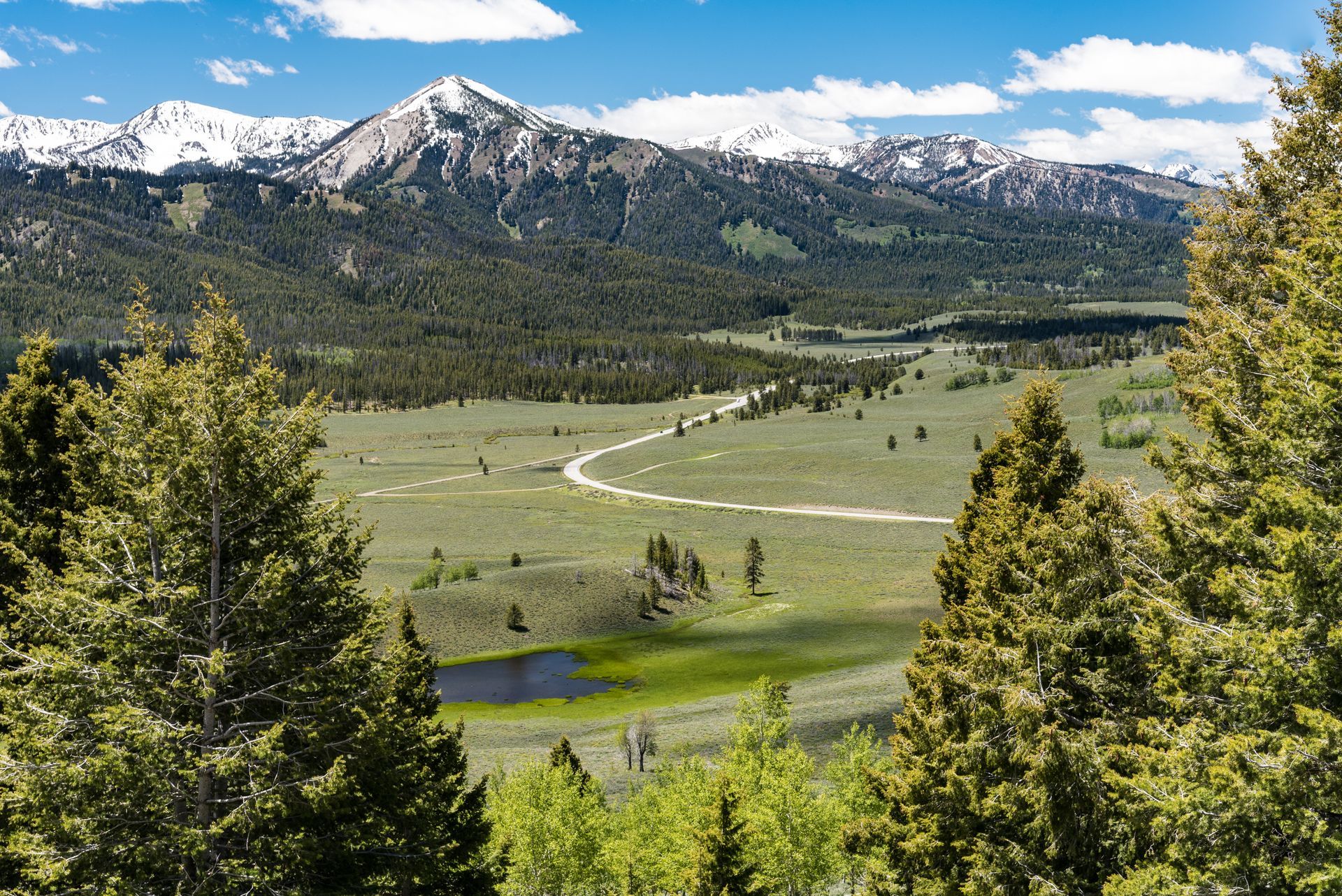 A valley with mountains in the background and trees in the foreground