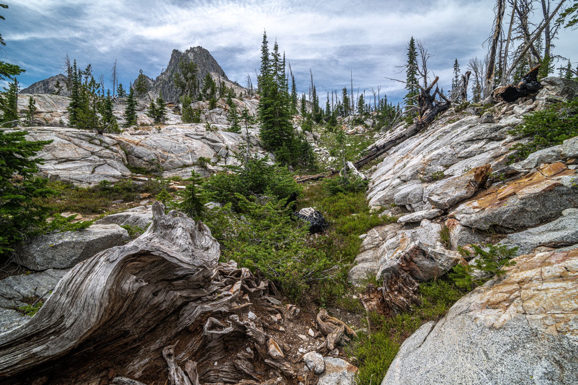 A rocky landscape with trees and rocks in the foreground and a mountain in the background.