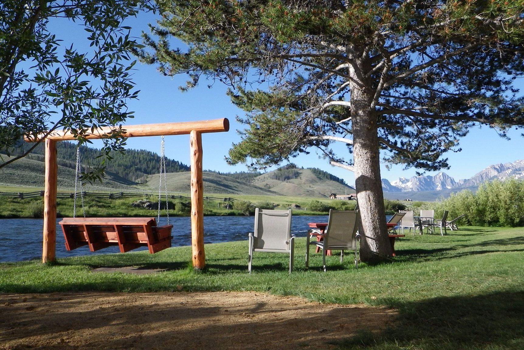 A wooden swing is sitting under a tree near a lake