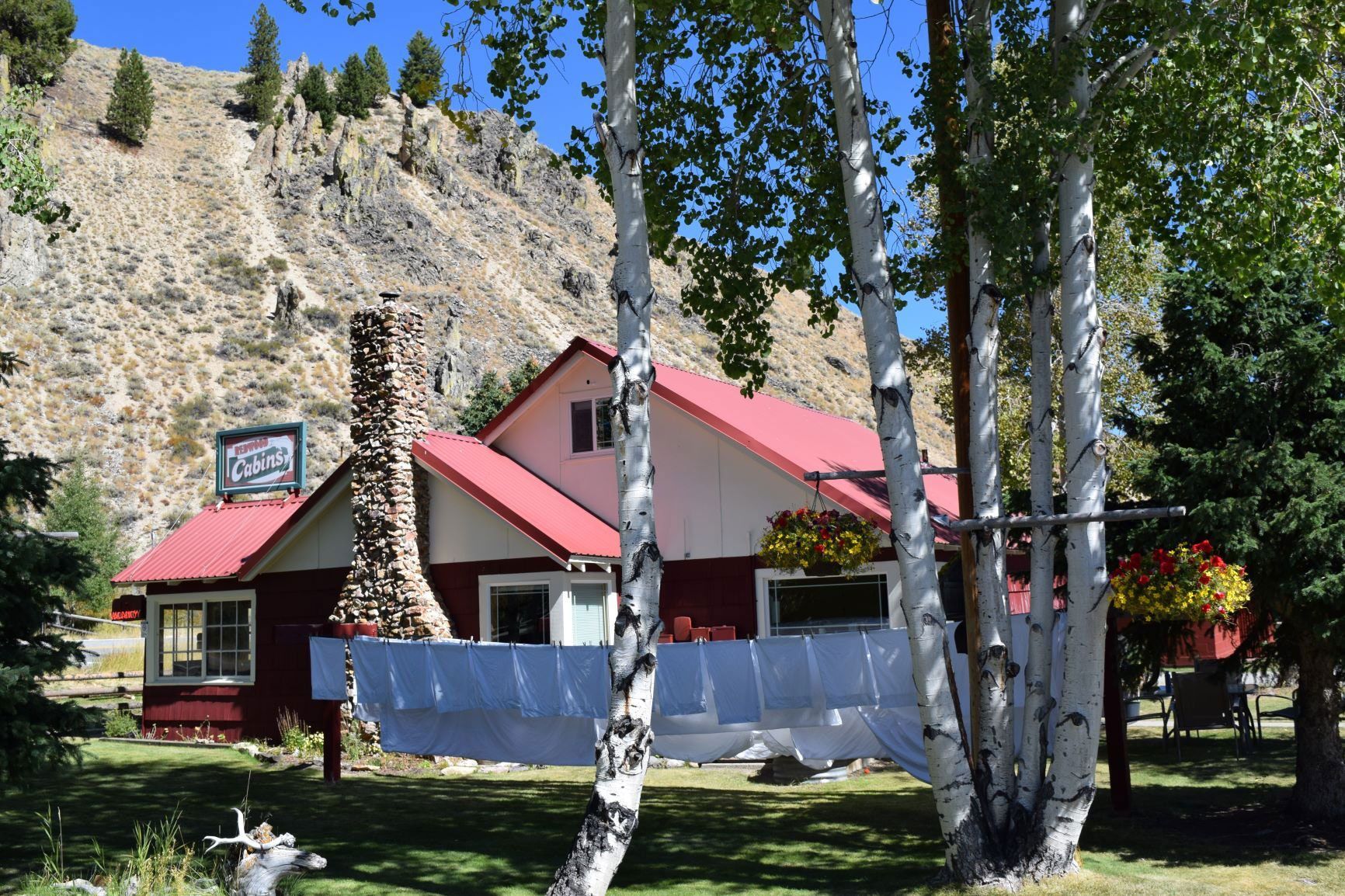 A house with a red roof is surrounded by birch trees