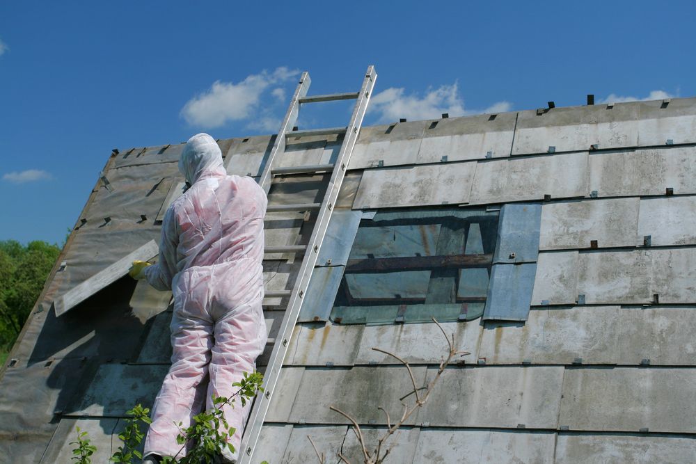 Person In Protective Suit Inspecting A Slanted Roof — Dirt Werx in Maitland, NSW