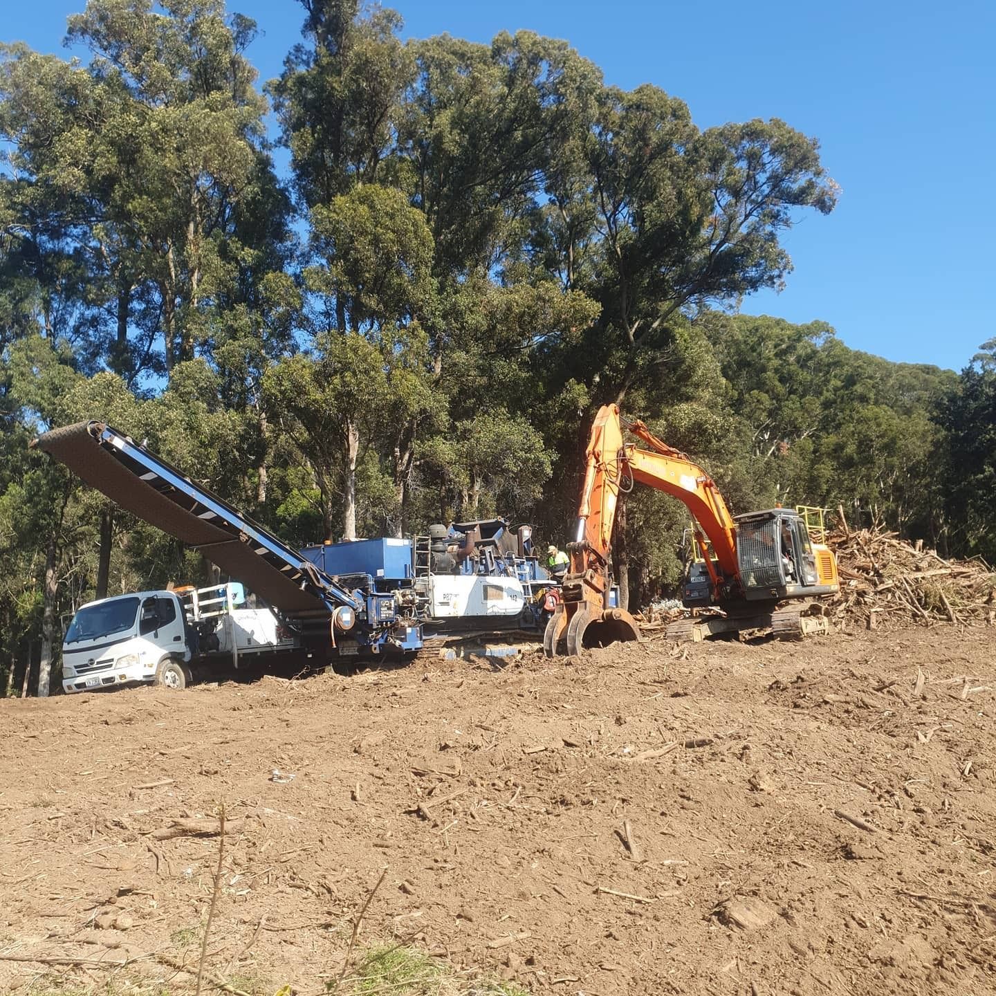 Orange Excavator Doing Excavation in Forest