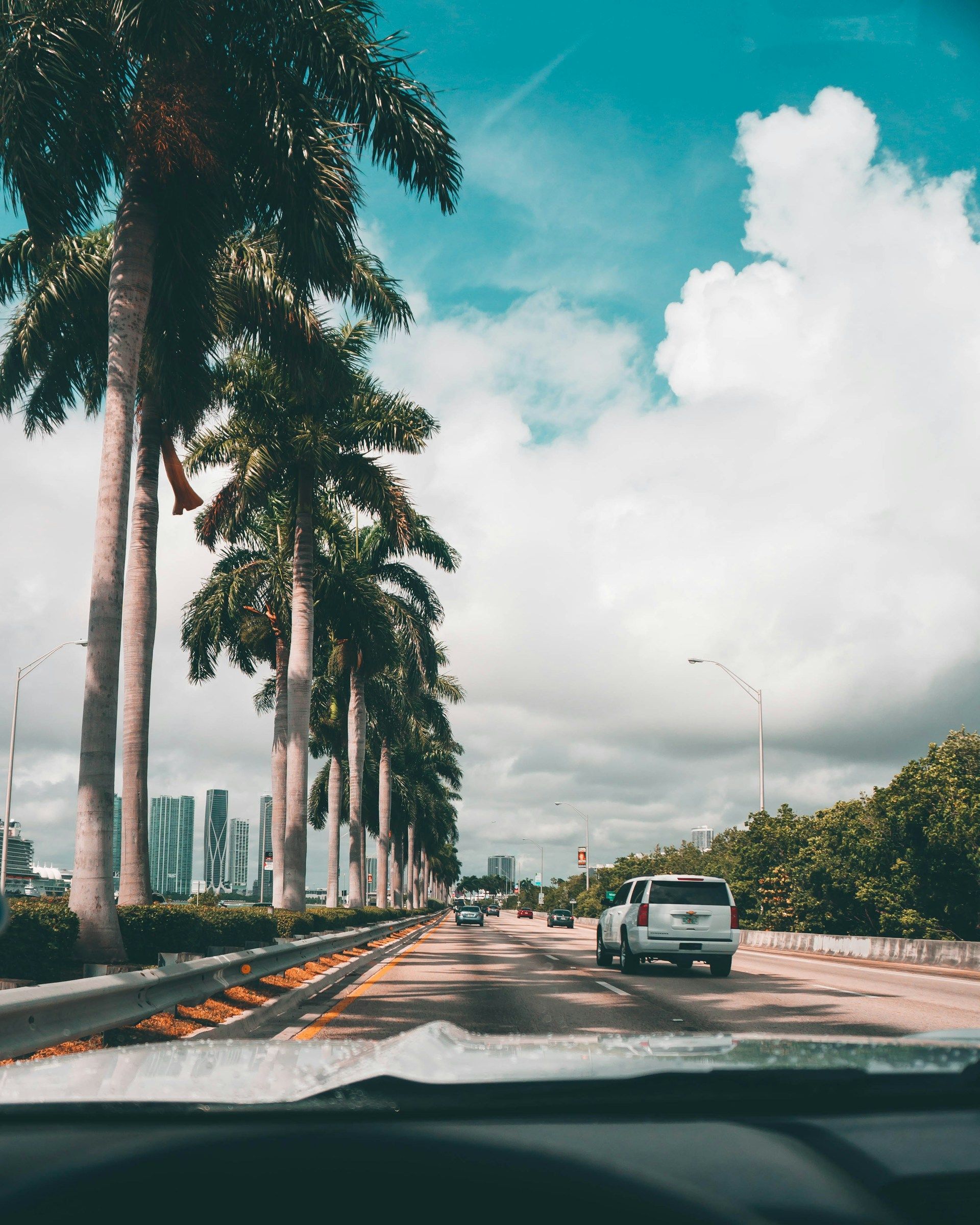 Road lined with palm trees under a partly cloudy sky, vehicles driving in the distance.