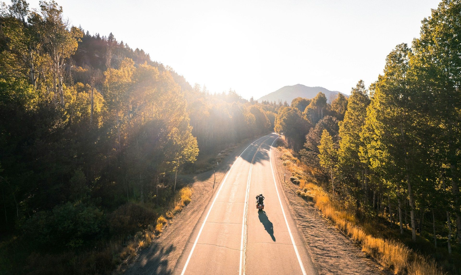 A lone motorcyclist rides on a mountain road bathed in sunlight, surrounded by trees.