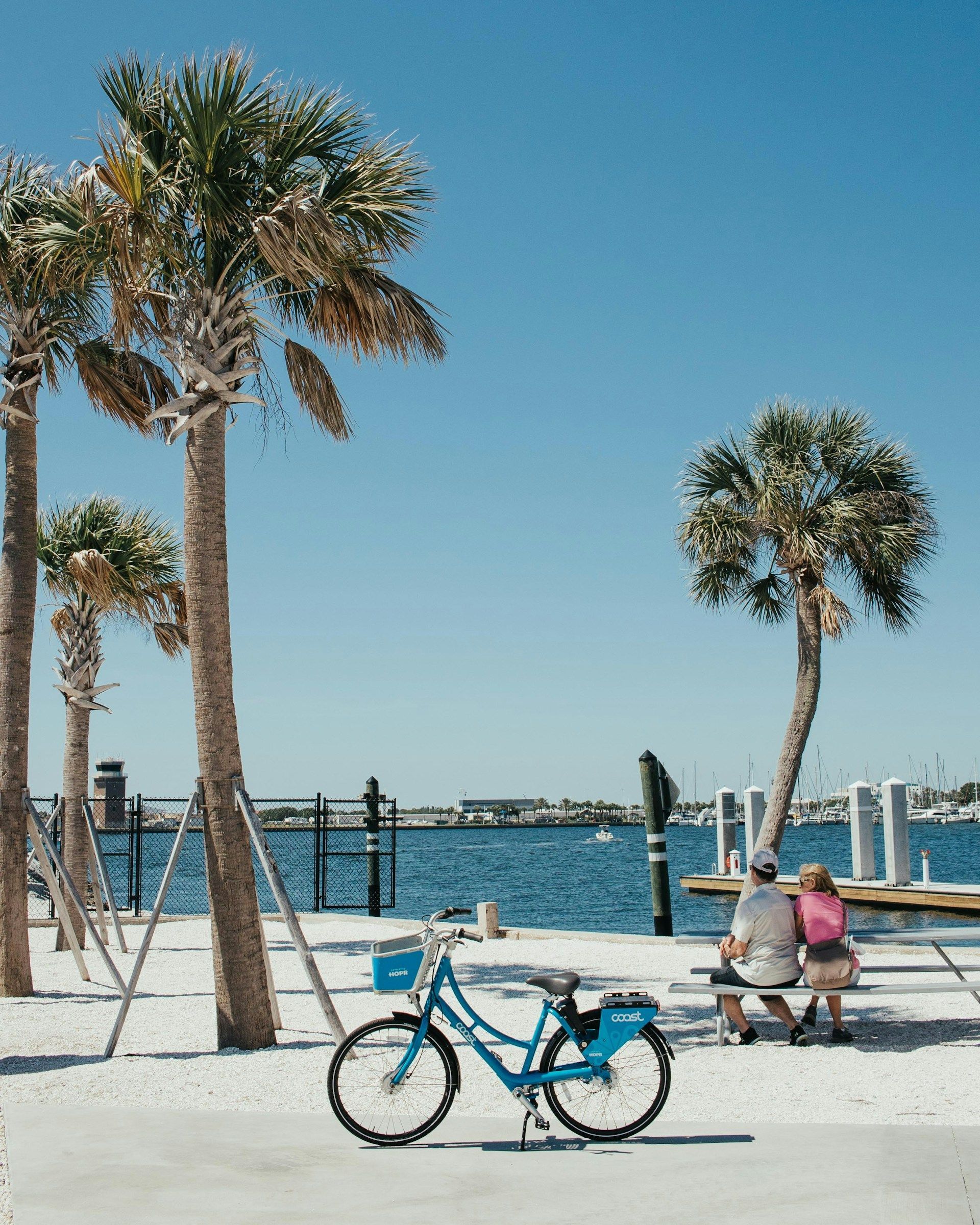 Blue bicycle near palm trees and couple sitting, overlooking water.