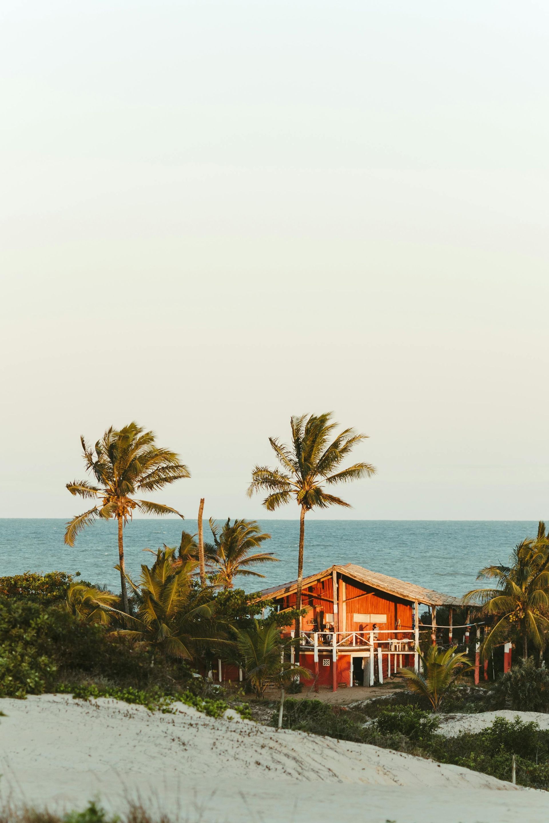Red building with palm trees on a sandy beach, ocean in the background.