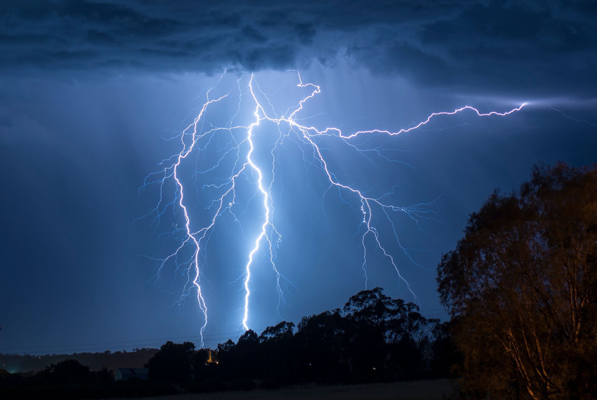 Lightning strikes in the night sky over a field with trees in the foreground.