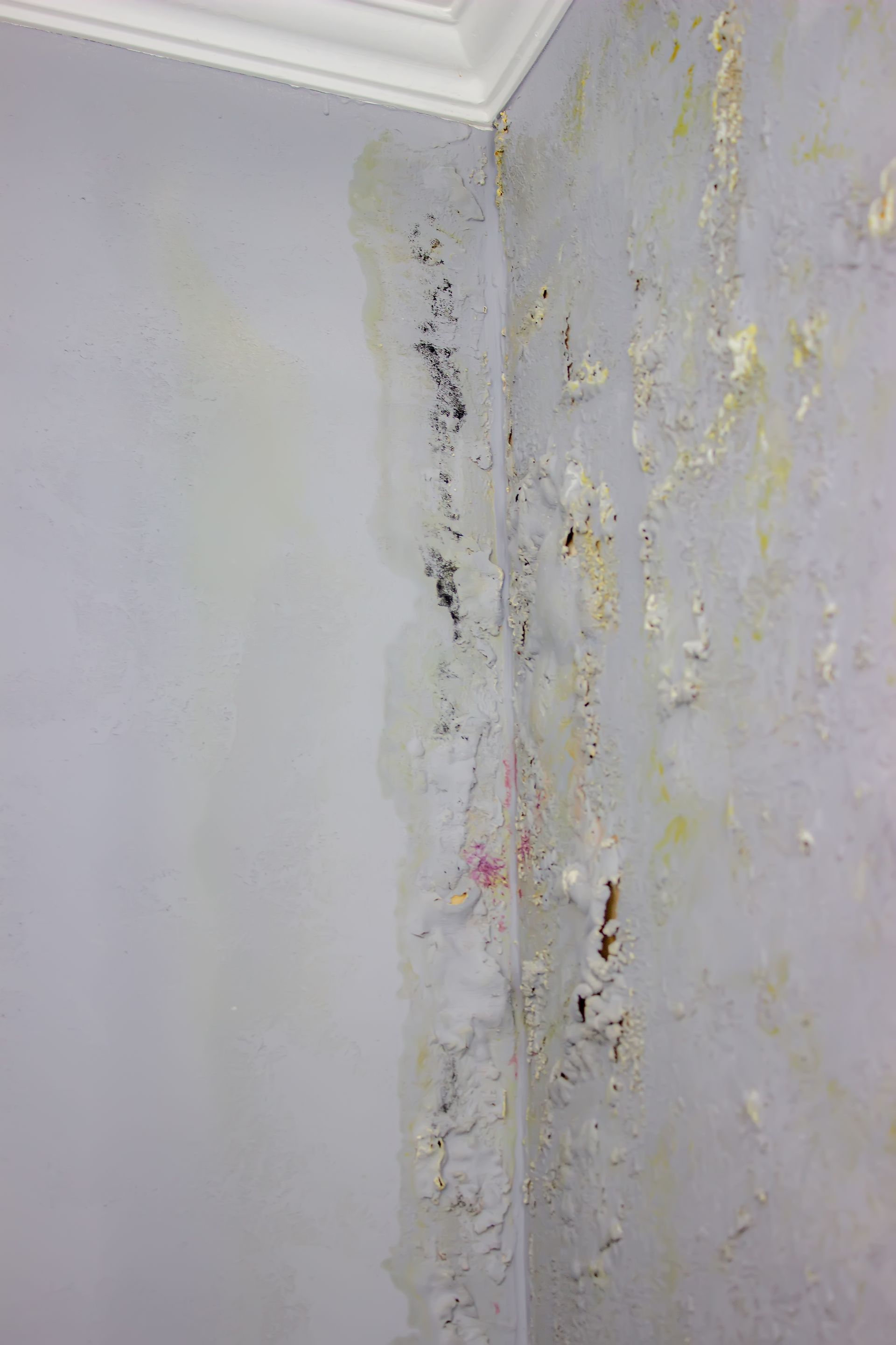 Hidden Water Damage in New Hampshire Homes — The Signs Most People Miss (and Why It Gets Expensive)