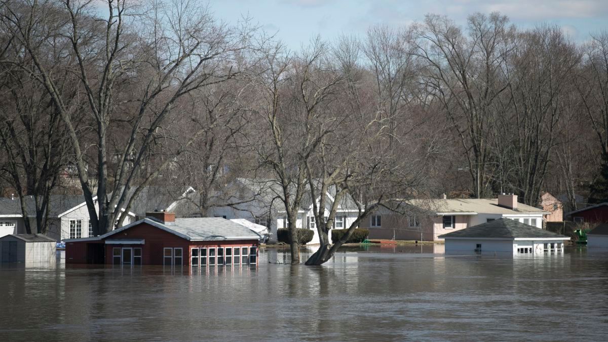 Flood Cleanup