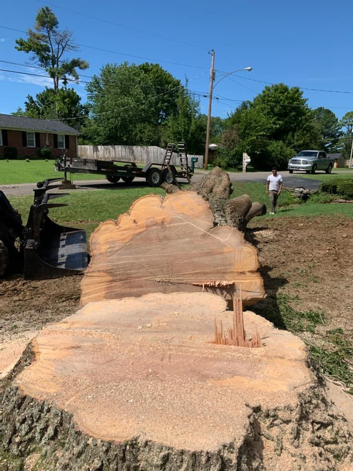 Freshly cut tree trunk lying in a yard, with wood chips and a person standing nearby under a blue sky