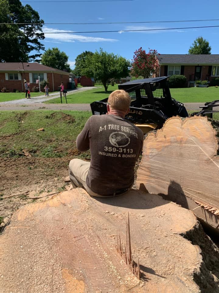 Person sitting on a cut tree trunk in a sunny yard, with a playground and brick buildings in the background