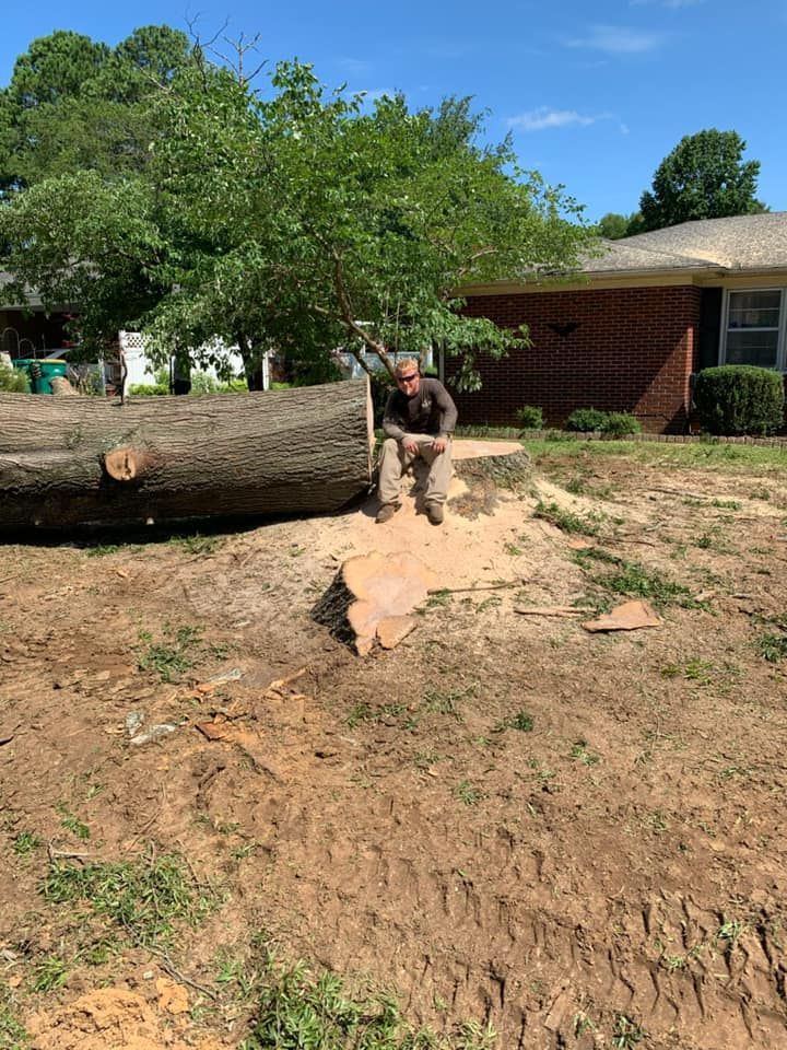 Person moving across a dirt yard beside a large fallen tree near a brick house.