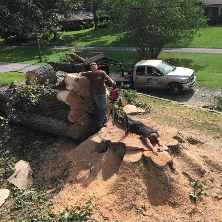 Two workers beside a large uprooted tree stump on a grassy roadside, with a truck parked behind them.