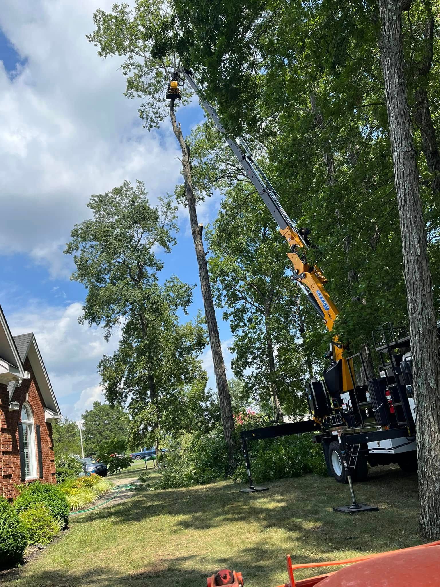 Tree trimming truck with raised crane beside a house and leafy trees on a sunny day