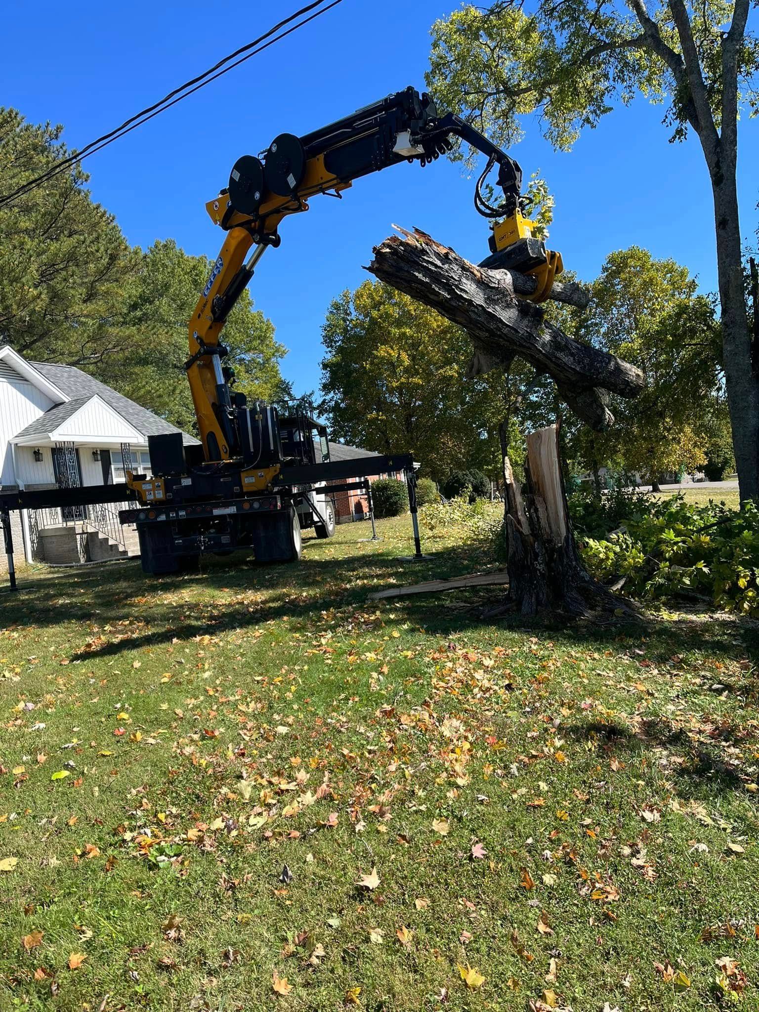 Yellow crane lifting a large tree limb in a sunny yard with a white tent and houses nearby