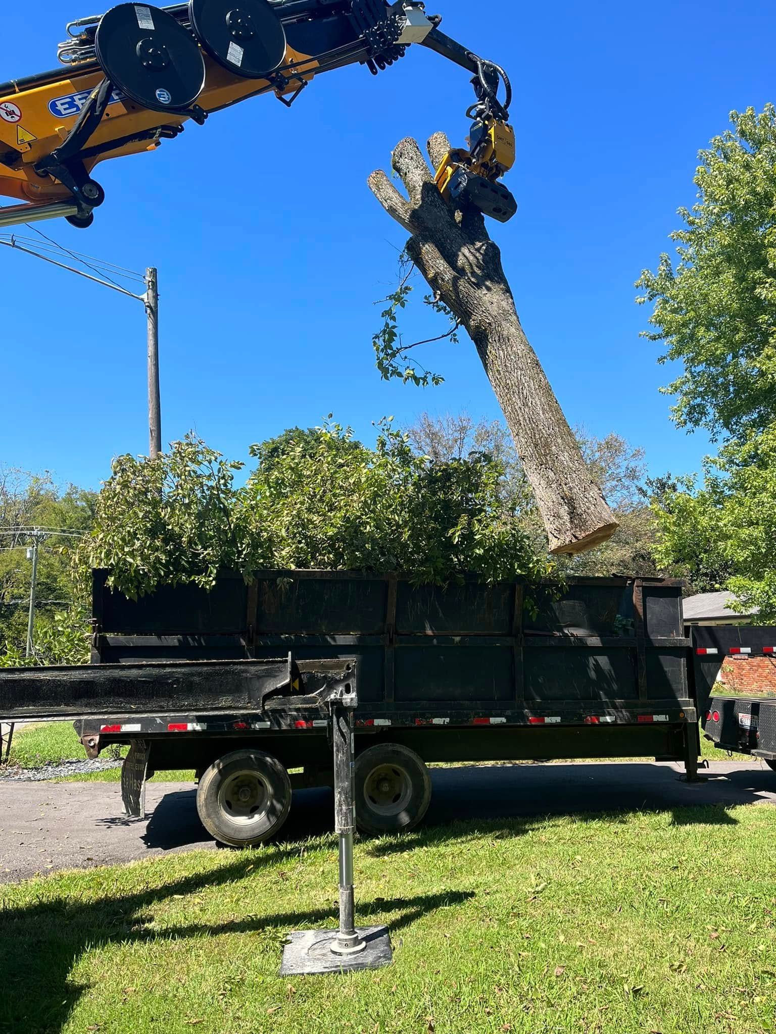 Tree being cut down by a crane over a black flatbed truck in a grassy yard under a clear blue sky