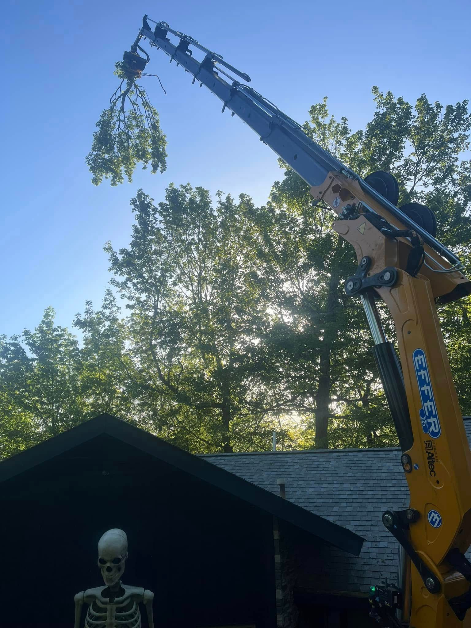 Yellow crane lifting tree branches over a dark-roofed shed, with a skeleton decoration below.
