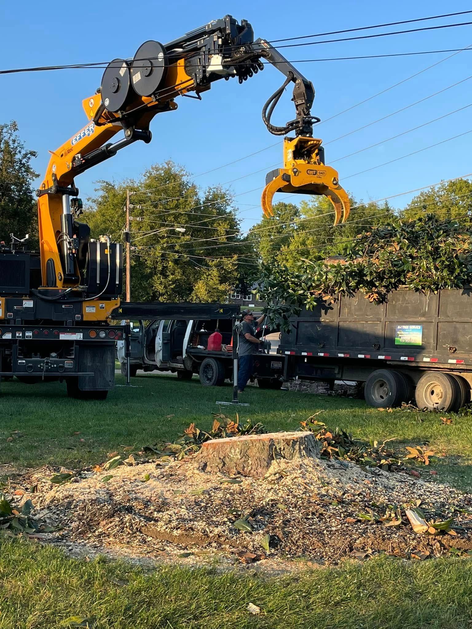Orange excavator with grappling claw loading tree debris onto a truck in a grassy yard