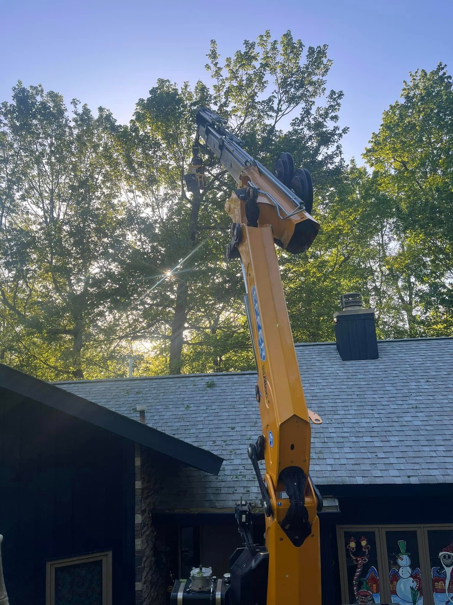 Yellow excavator arm above a house roof, with trees and sunlight in the background.