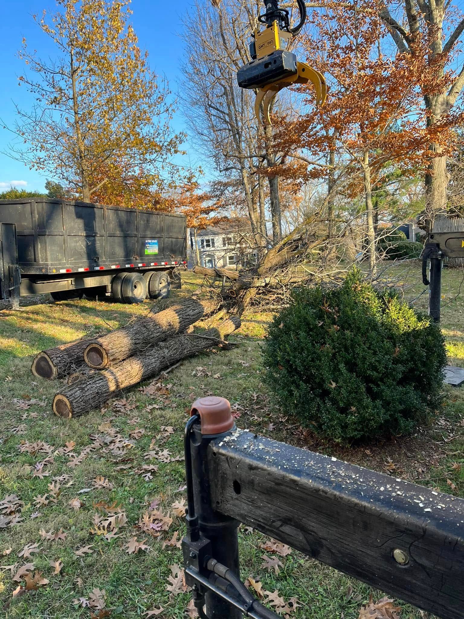 Excavator lifting cut tree logs beside a truck in a grassy yard with autumn trees