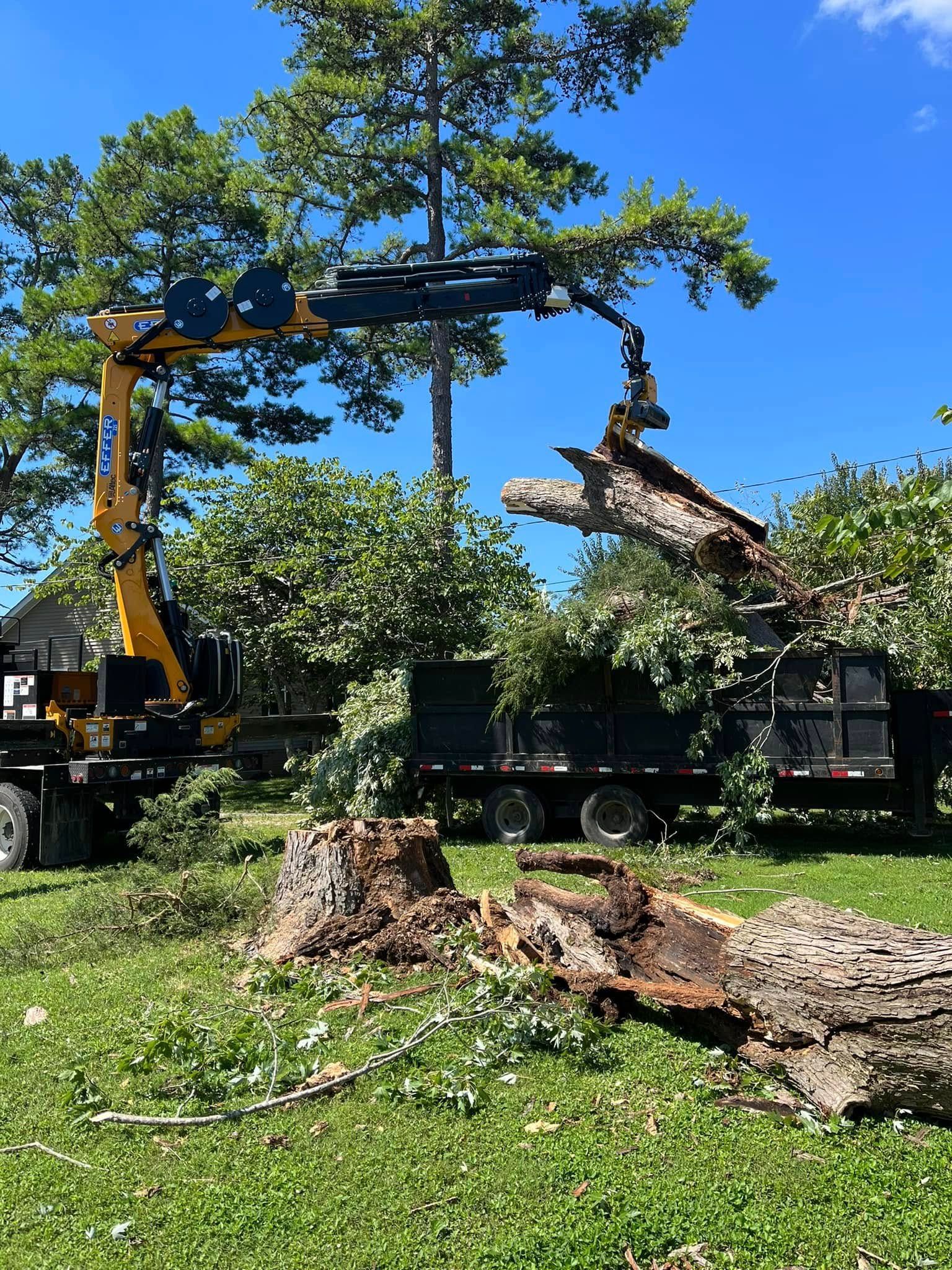 Tree being cut by a crane in a grassy yard, with a large trunk section suspended in the air.