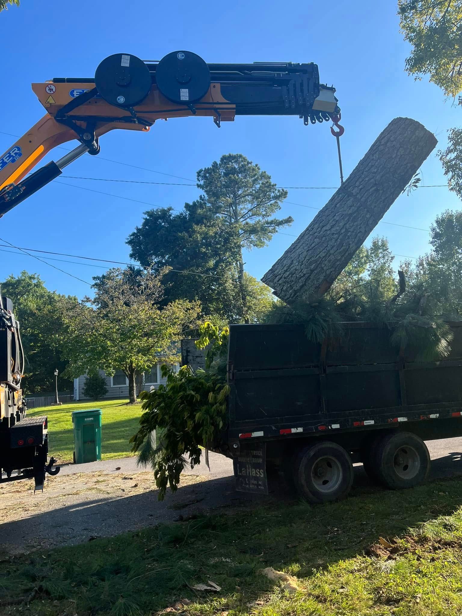 Crane lifting a large tree trunk into a dump truck on a sunny residential street
