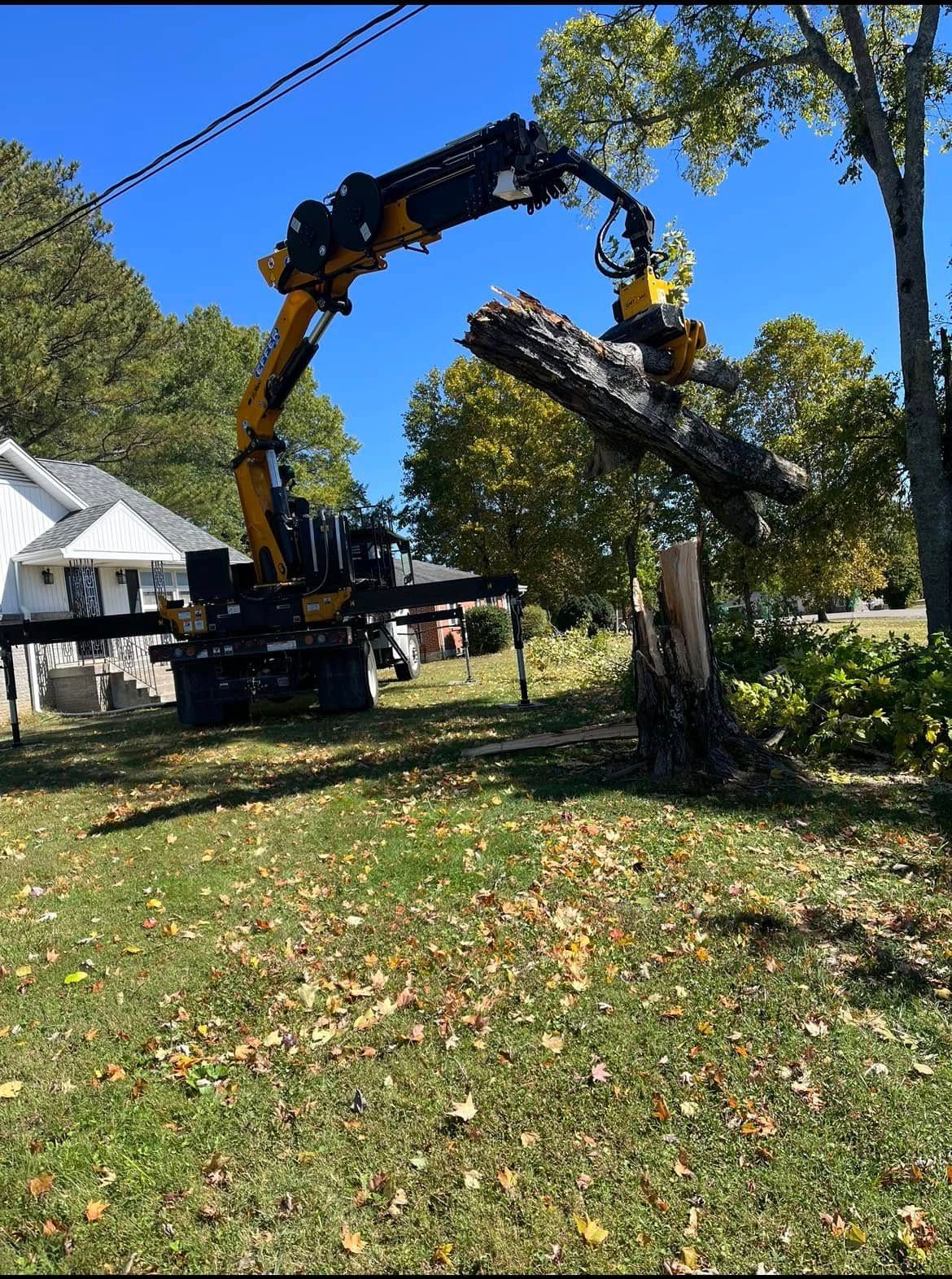 Tree-removal crane lifting a cut trunk beside a house in a sunny yard