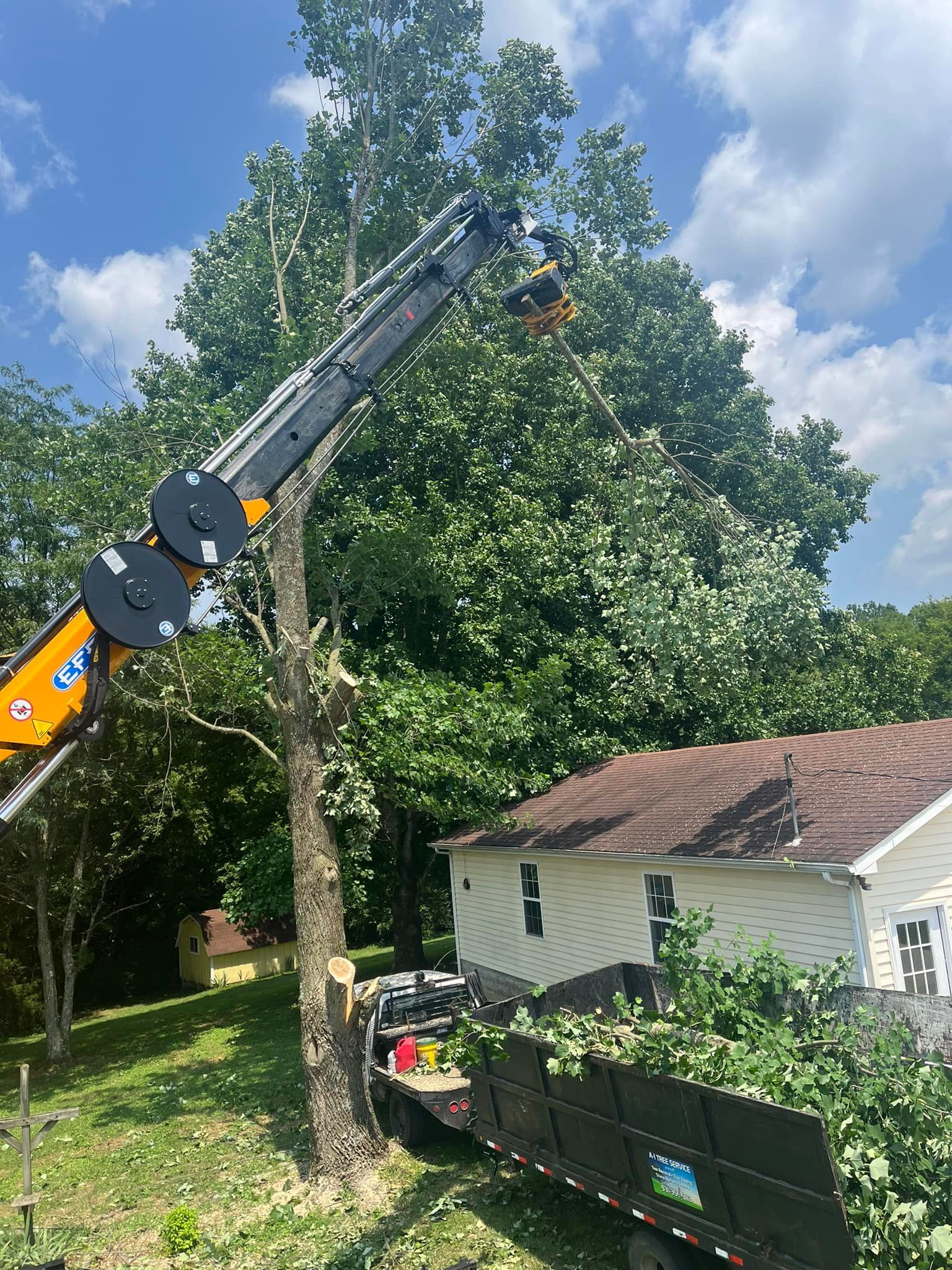 Tree being cut by a crane beside a house and fence under a blue sky