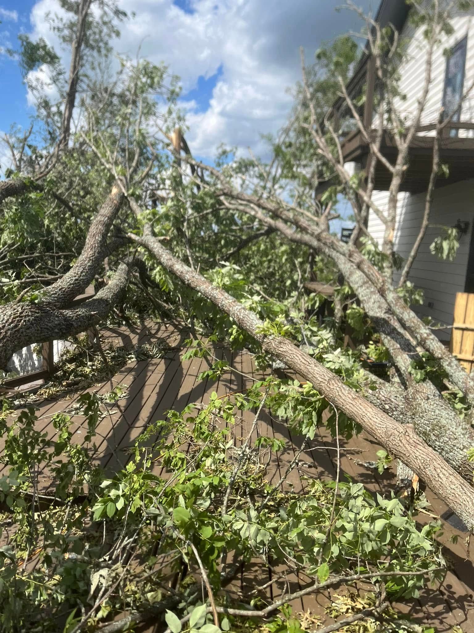 Fallen tree limbs tangled in a yard beside a building under a partly cloudy sky