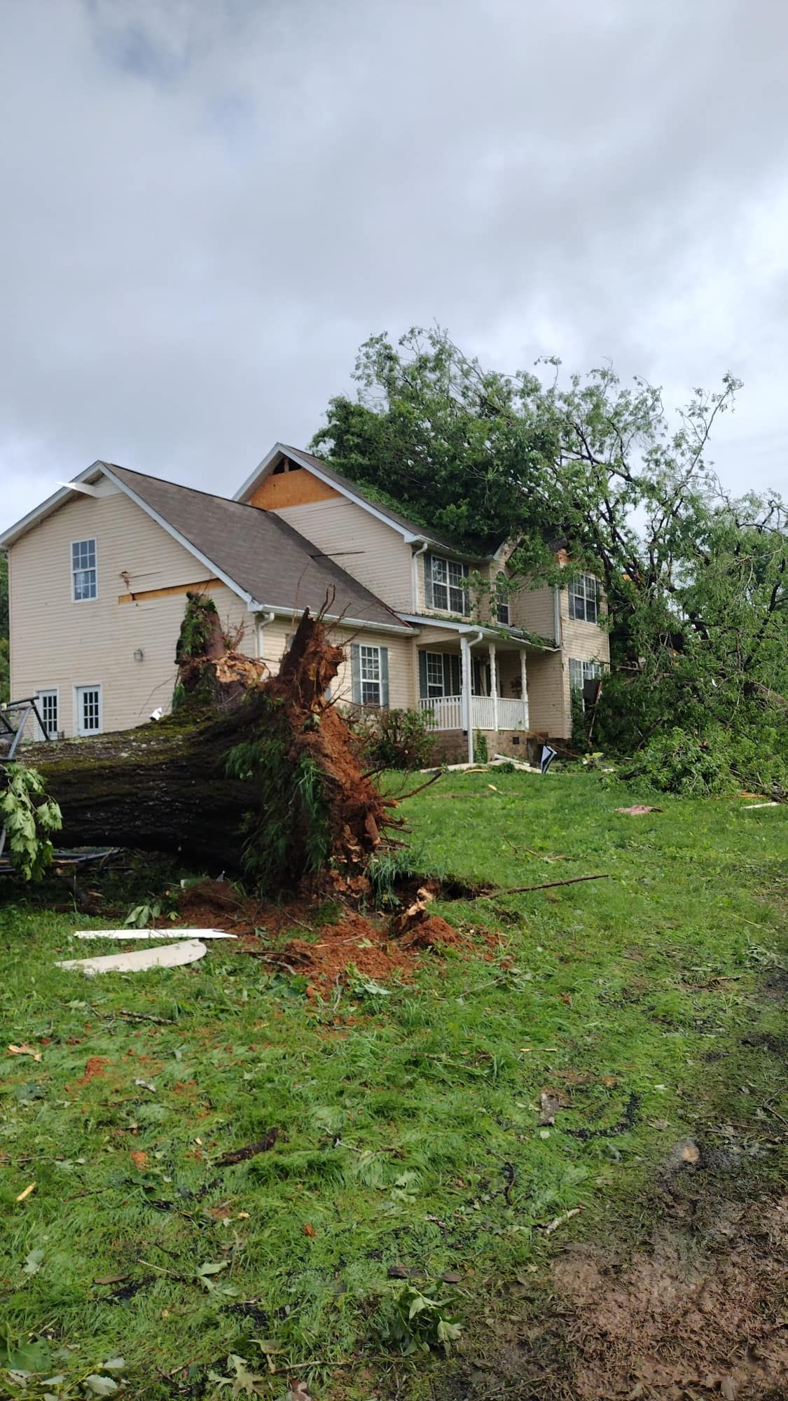 House and yard damaged by a fallen tree after a storm, with debris in the foreground.