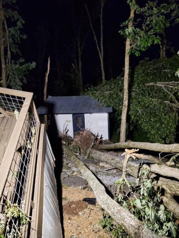 Nighttime view of a small shed beside a wooded path, with fallen branches and a flashlight beam.