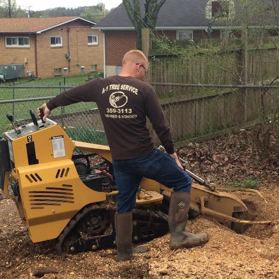Worker operating a yellow stump grinder in a backyard near a fence and houses