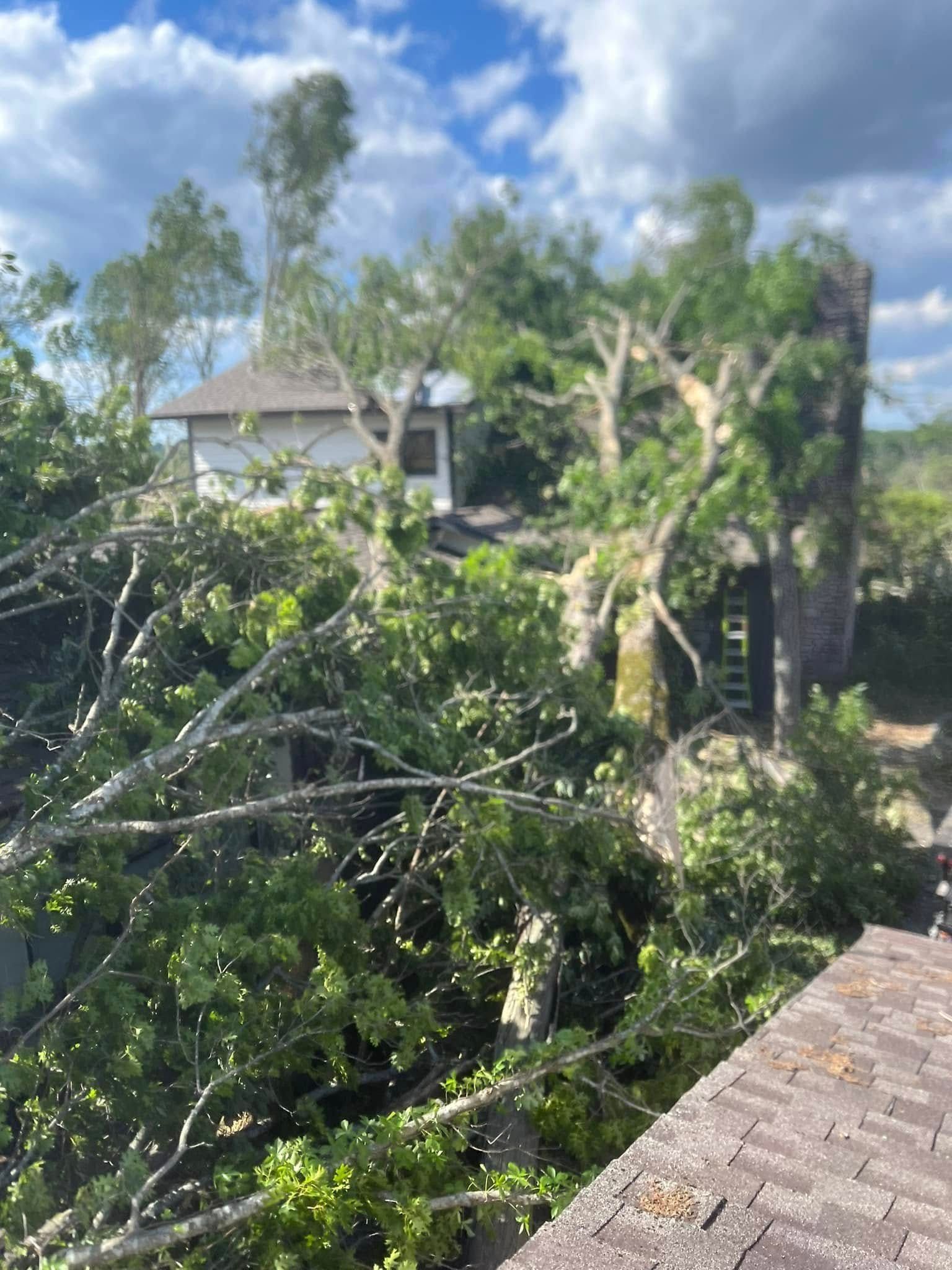 Storm-damaged trees and fallen branches beside a rooftop under a partly cloudy sky