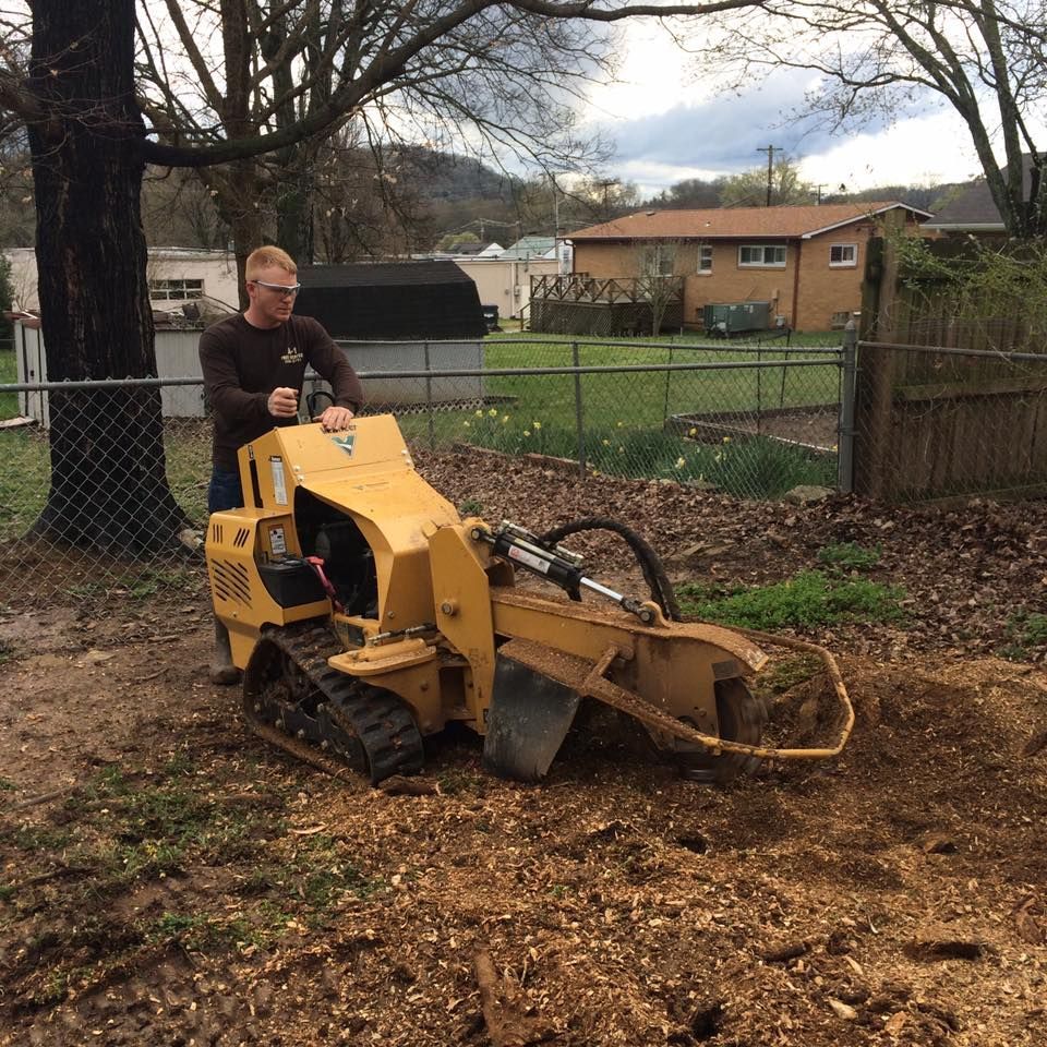 Person operating a yellow stump grinder in a backyard, cutting wood chips near a fence and house.