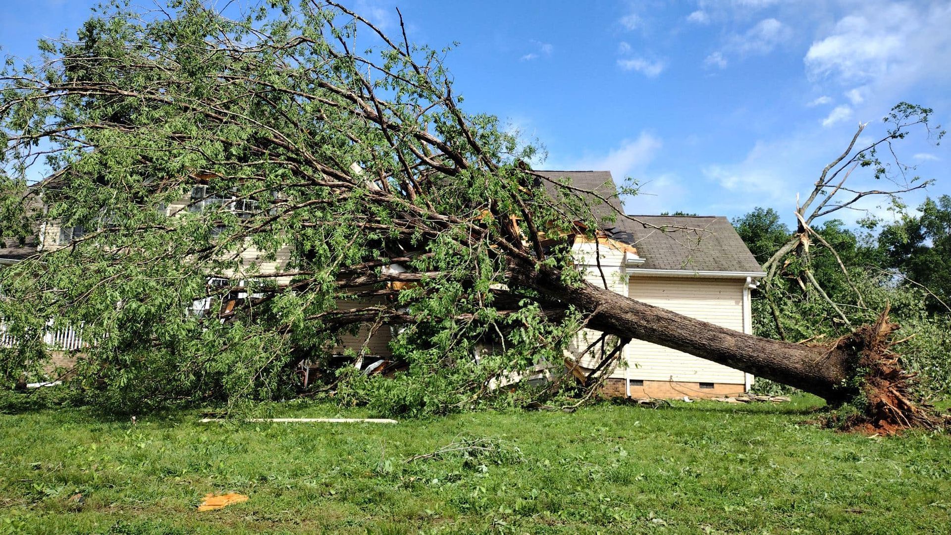 Fallen tree limb lying across a grassy yard in front of a house under a blue sky