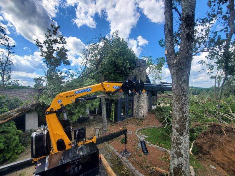 Yellow excavator trimming a large tree beside a house under a cloudy blue sky