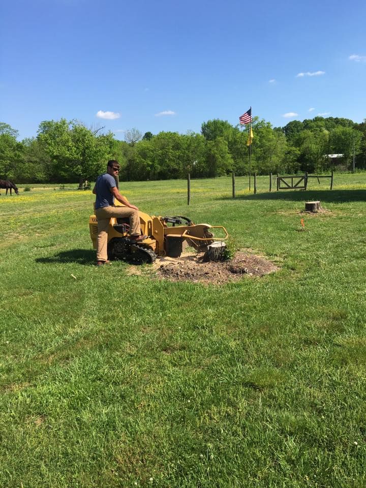 Person chopping a log with an axe in a sunny grassy field with trees and a flag in the background