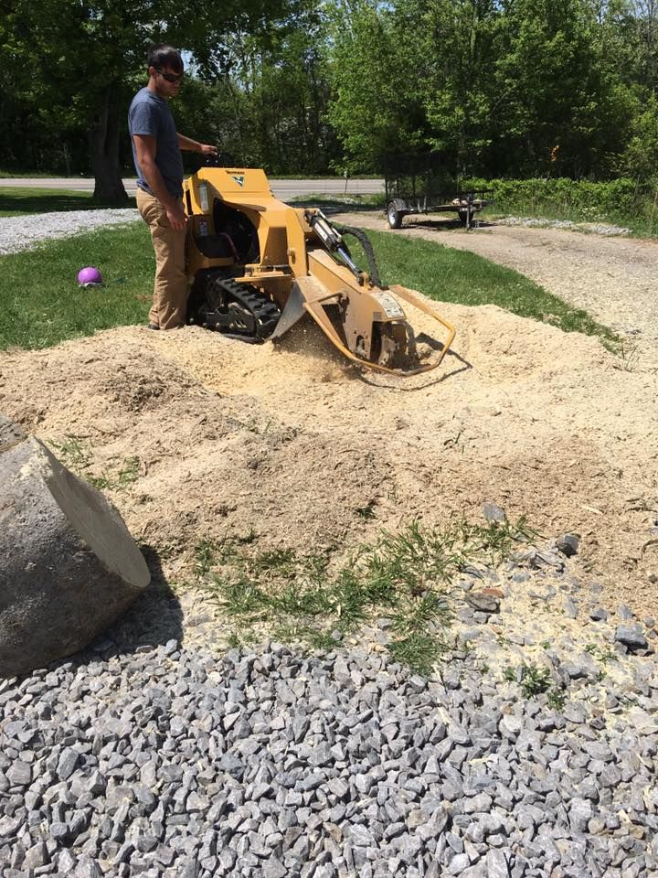 Worker operating a yellow trencher on a gravel pile in a yard with trees and a driveway.