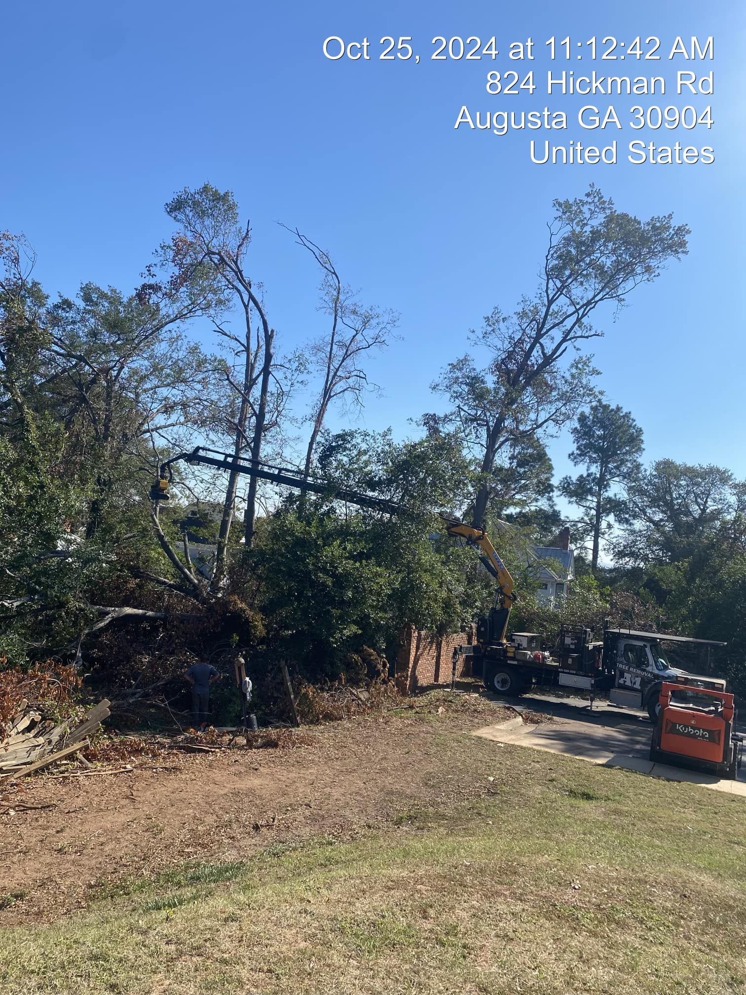 Outdoor lot with trees, a dirt path, and a small red utility vehicle near a house in bright sunlight