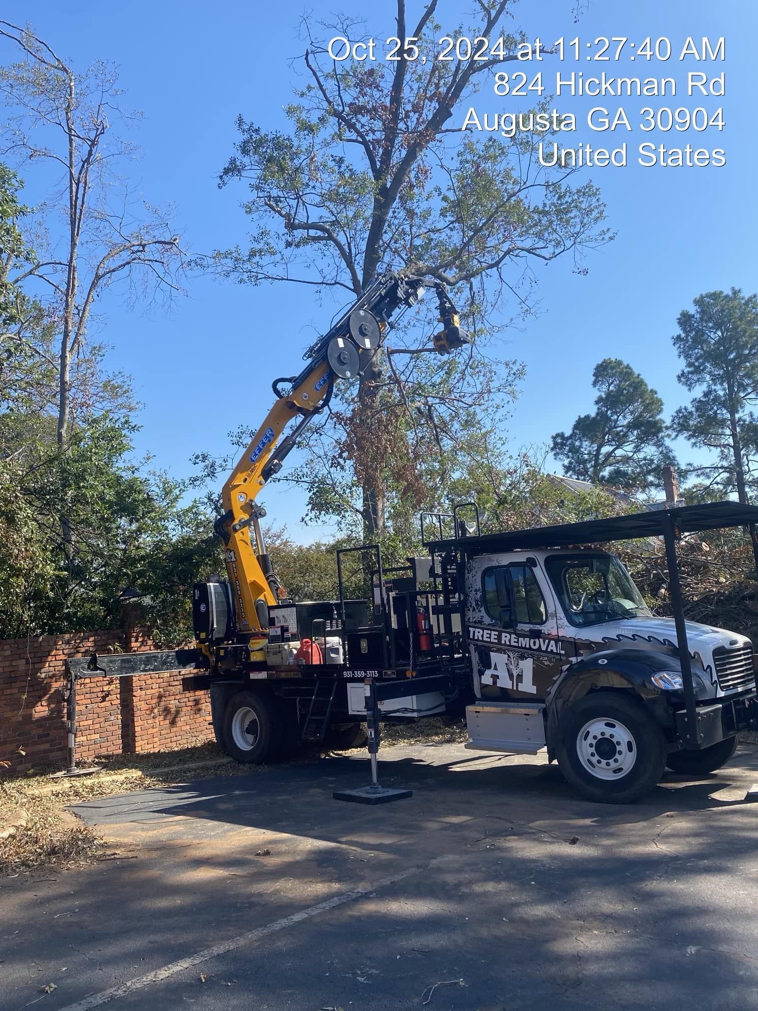 Crane truck lifting a large tree branch beside a house on a sunny street.