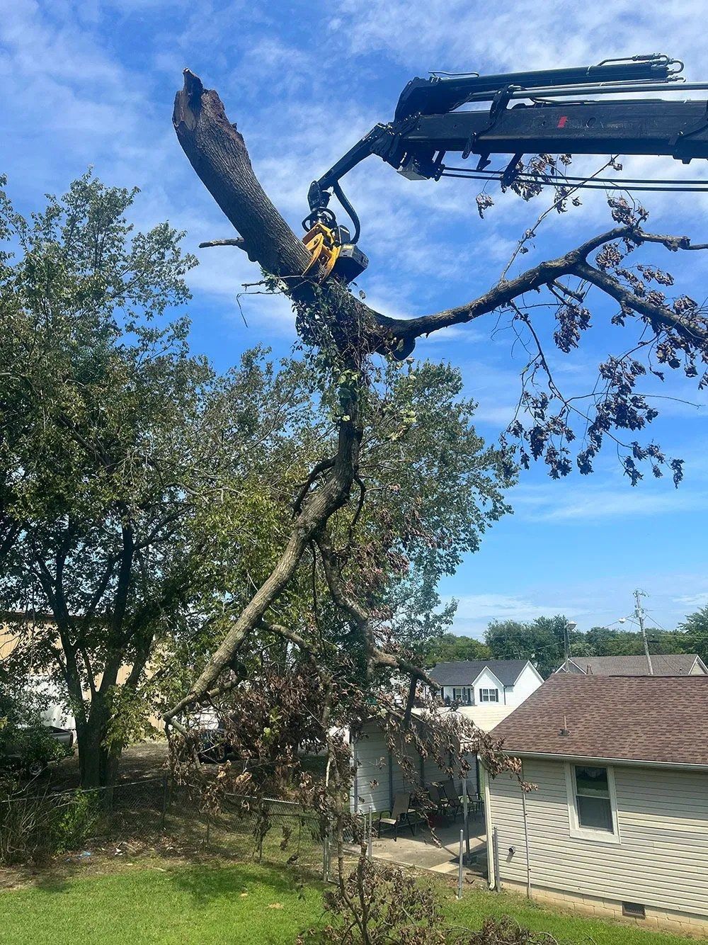 Excavator cutting down a tall tree beside a house on a clear day