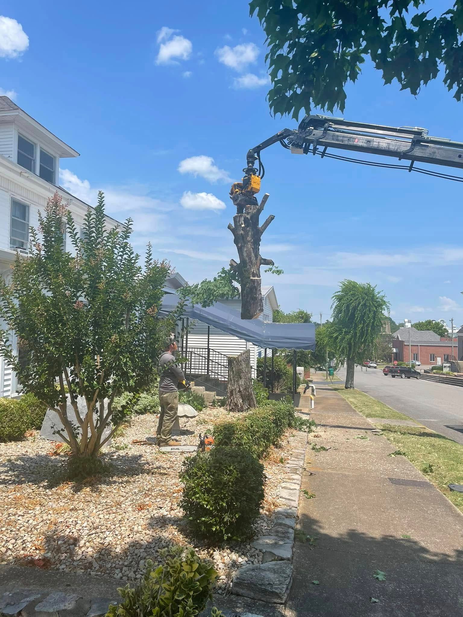 Tree trimming equipment on a suburban street with a bucket lift, house, and blue sky.